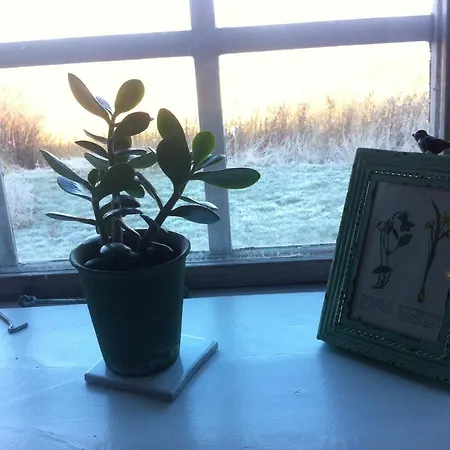 Bed & Breakfast Praestogaard