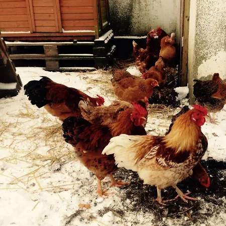 Praestogaard Bed & Breakfast