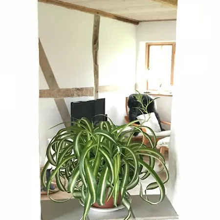 Praestogaard * Præstø