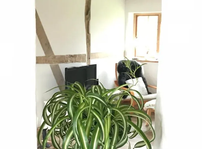 Praestogaard * Præstø